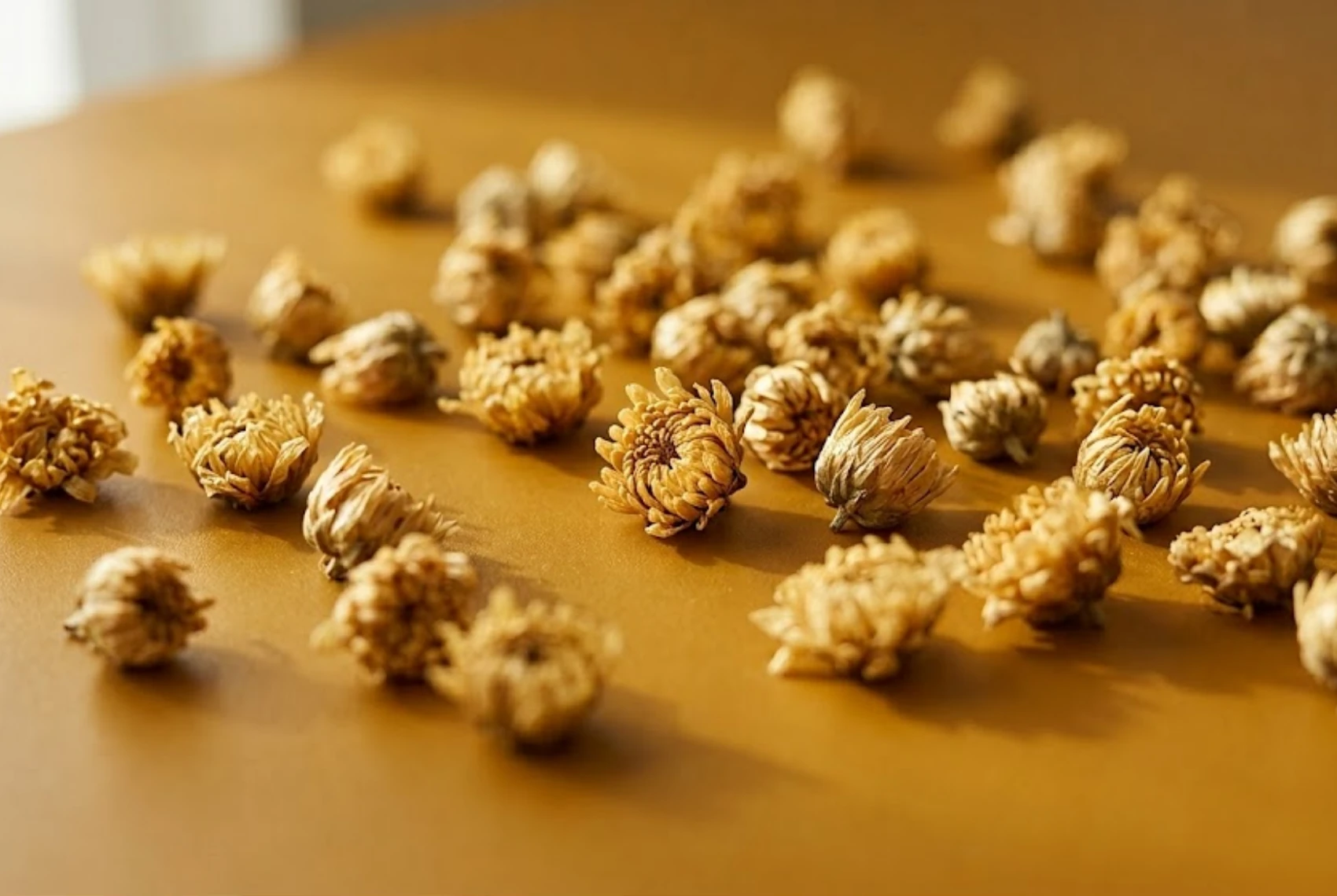 Dried chrysanthemum buds, the hero botanical behind flowerful FLOAT